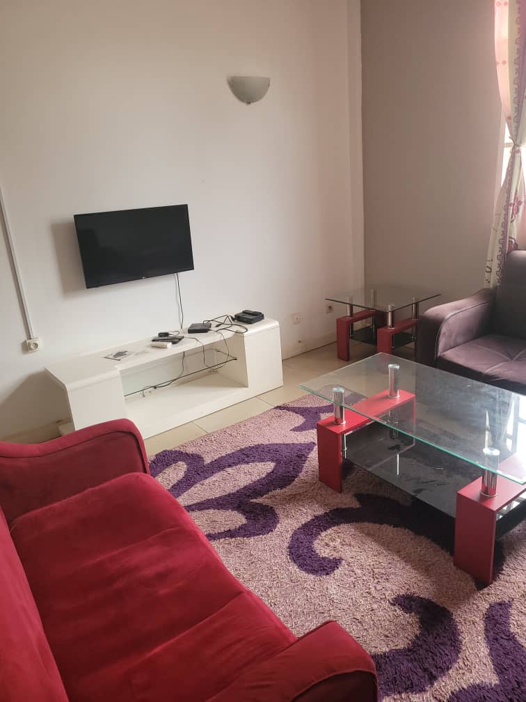 Le seul appartement qui vous fera oublier votre billet retour. photo 2