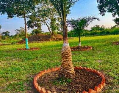 Résidence Kpalongo – Élégance, calme et confort